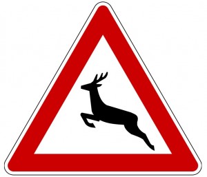 Wildwechselzeichen
