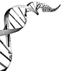 DNA-Strang