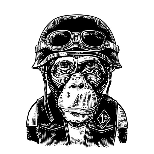 Monkey in the motorcycle helmet and glasses. Vintage black engraving